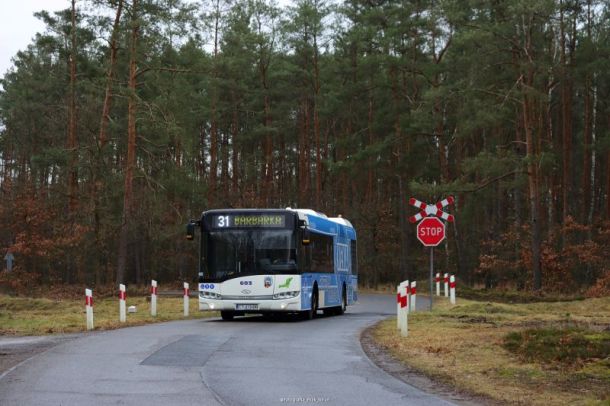 Autobus miejski linii 31